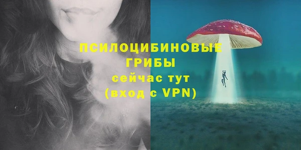 стаф Киренск