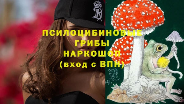 PSILOCYBIN Алексеевка